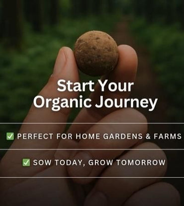 Organic Seedballs Pack of 6 ( Tulsi , Sungold , Sunflower & Morning Star )